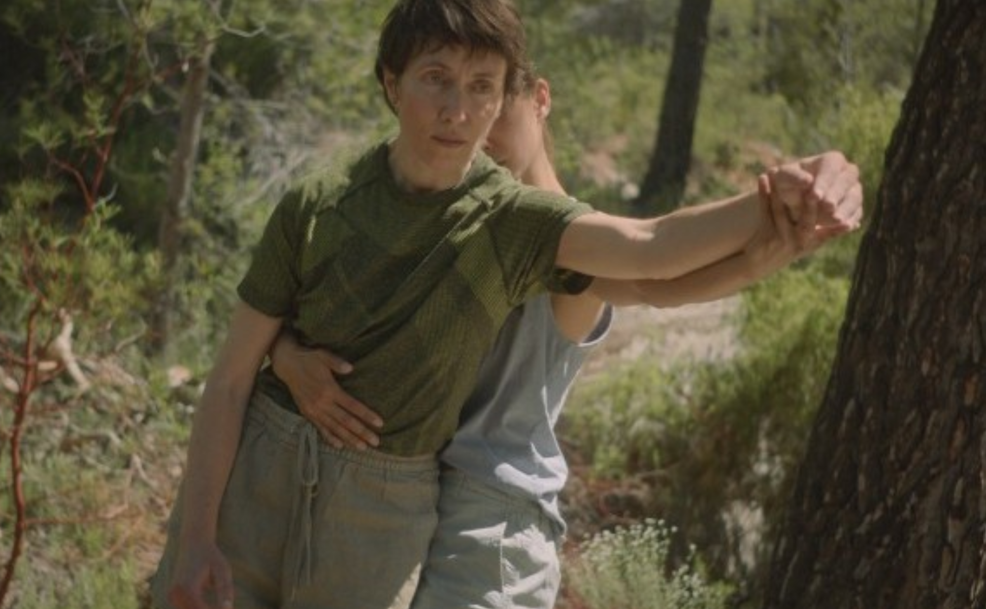 Visualbild Formes de vie