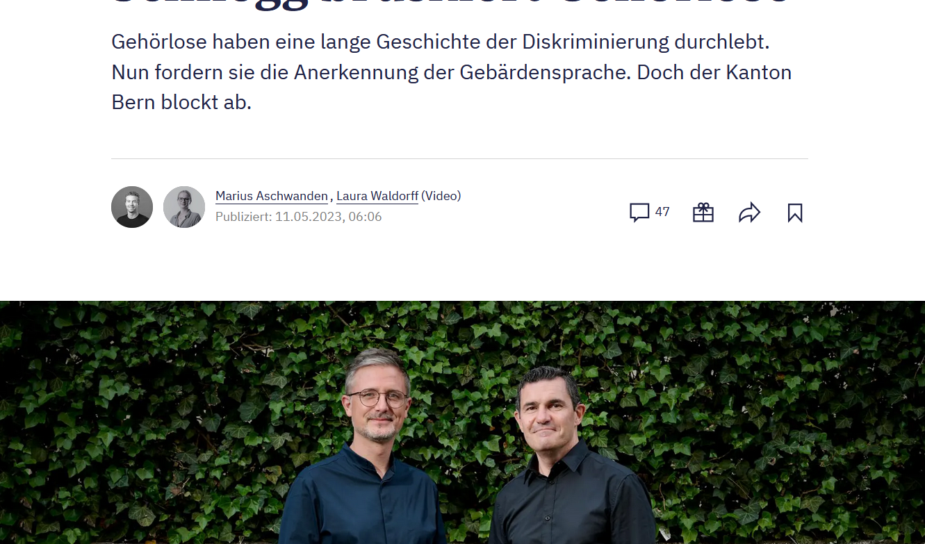 Screenshot Zeitungsartikel