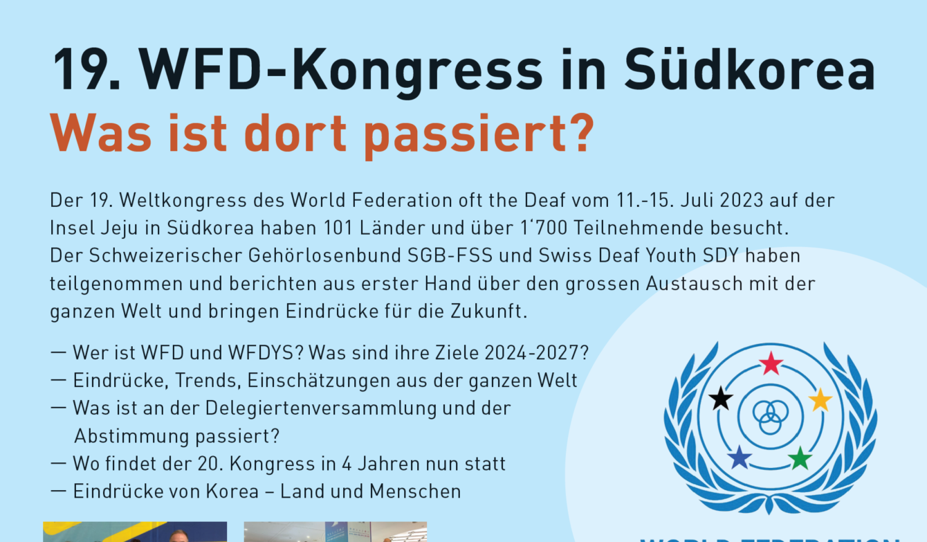 Screenshot Flyer Webinar